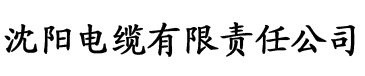 精品国产成人亚洲午夜福利电缆厂logo